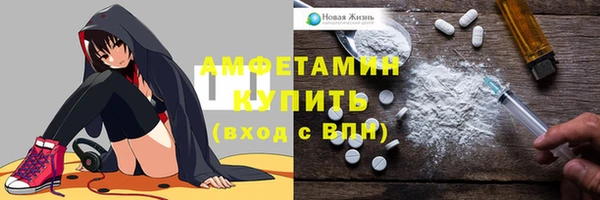 мдпв Козельск
