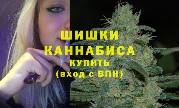 mdpv Киреевск