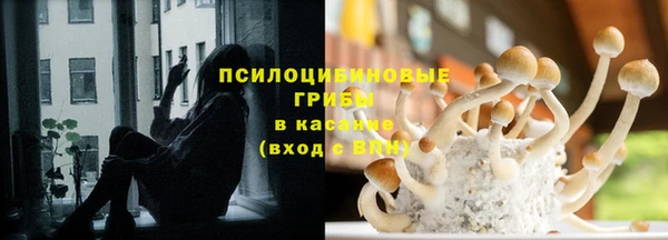 spice Киренск