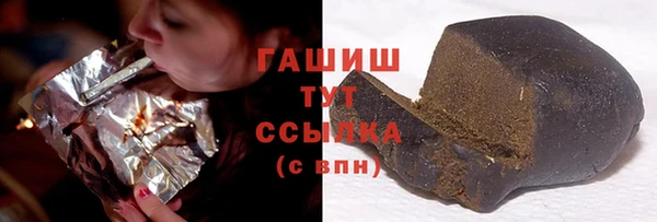мдпв Козельск