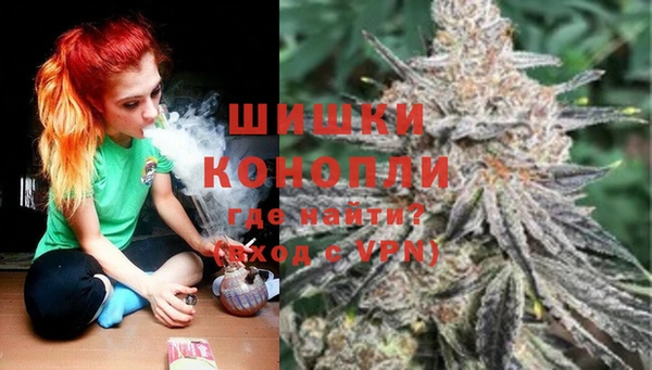 ПСИЛОЦИБИНОВЫЕ ГРИБЫ Кодинск