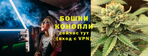 ПСИЛОЦИБИНОВЫЕ ГРИБЫ Кодинск