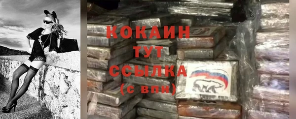 ПСИЛОЦИБИНОВЫЕ ГРИБЫ Кодинск