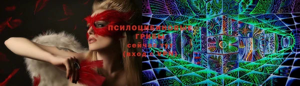 mdpv Киреевск