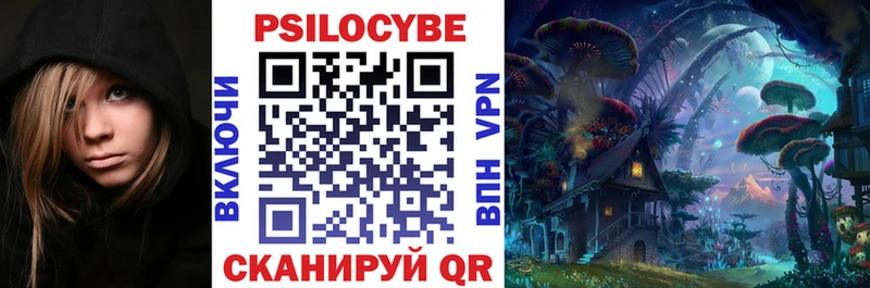 Псилоцибиновые грибы GOLDEN TEACHER  mega маркетплейс  Кировск  наркошоп 